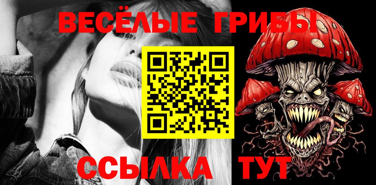 закладка  Вход с VPN  Омск  Псилоцибиновые грибы Cubensis 